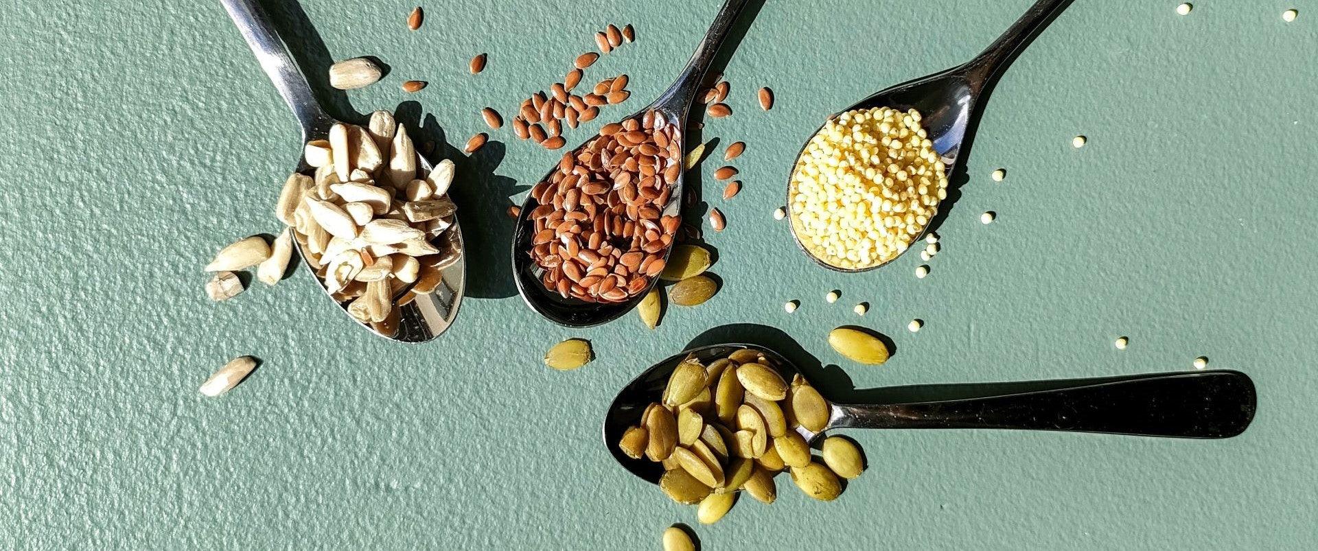 Why Are Seeds Important For Your Diet Wild Date why-are-seeds-important-for-your-diet-wild-date