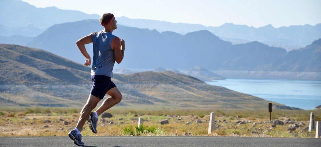 Healthy Snack Bars: Fueling Your Active Lifestyle