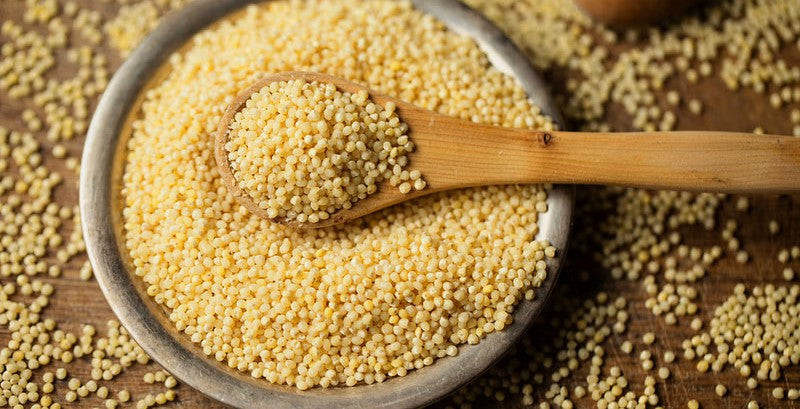 Little Millet Unveiled -  A Nutritional Powerhouse in Every Grain